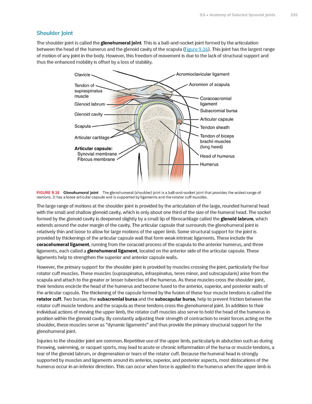 Anatomy and Physiology 2e - New Page