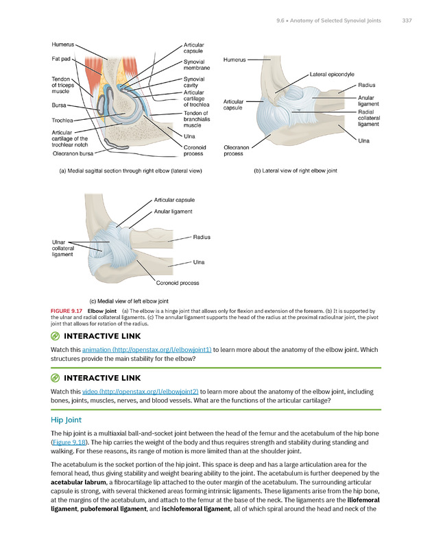 Anatomy and Physiology 2e - New Page