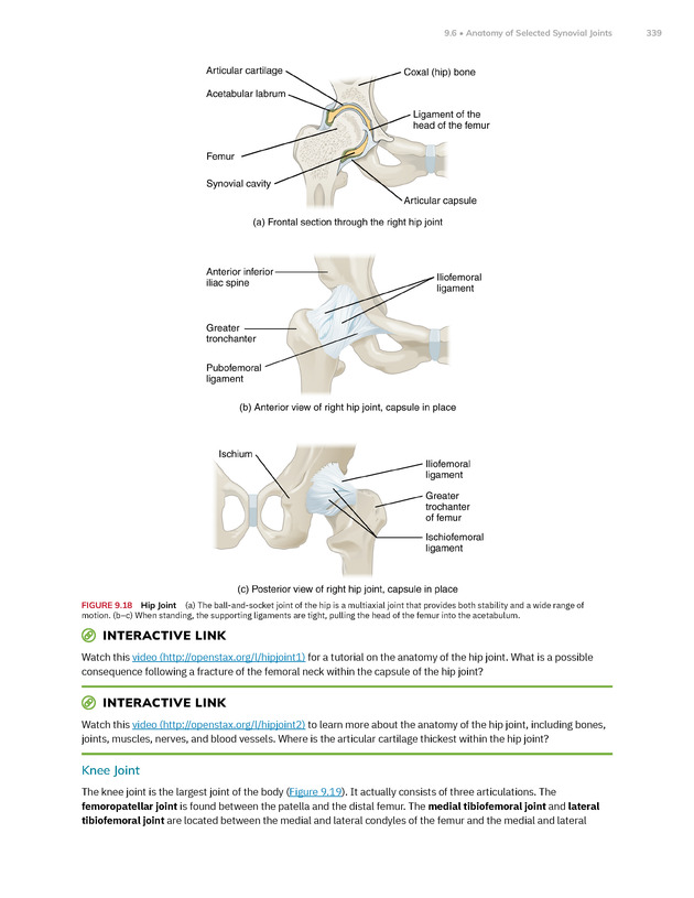Anatomy and Physiology 2e - New Page