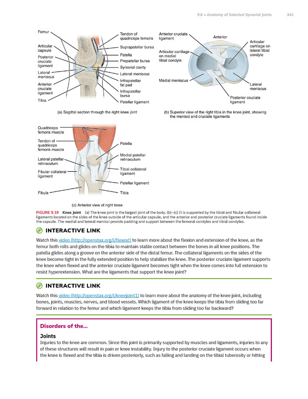 Anatomy and Physiology 2e - New Page