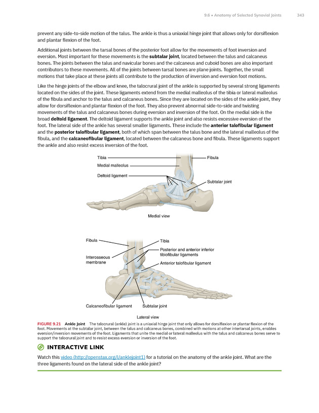 Anatomy and Physiology 2e - New Page