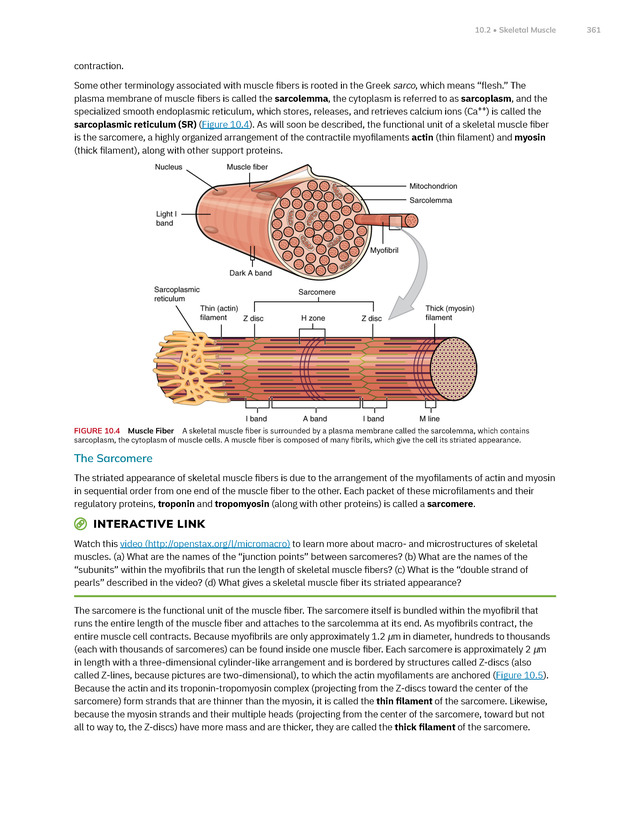 Anatomy and Physiology 2e - New Page