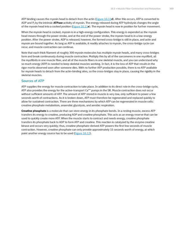 Anatomy and Physiology 2e - New Page