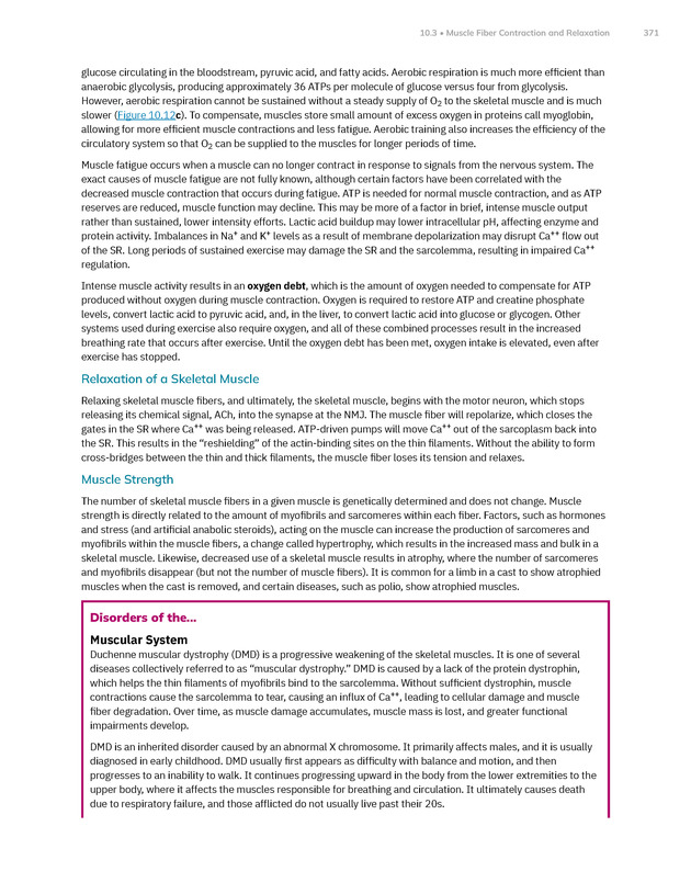 Anatomy and Physiology 2e - New Page