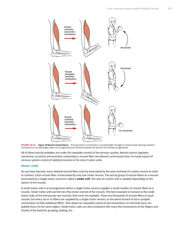 Anatomy and Physiology 2e - New Page