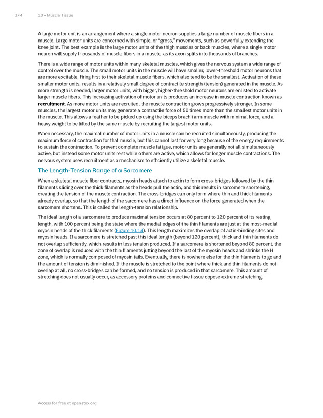 Anatomy and Physiology 2e - New Page
