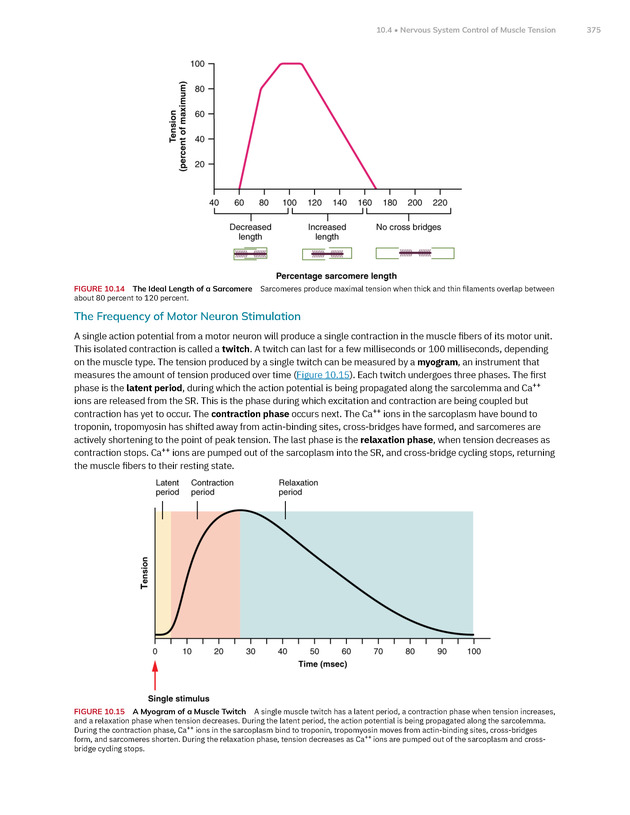 Anatomy and Physiology 2e - New Page
