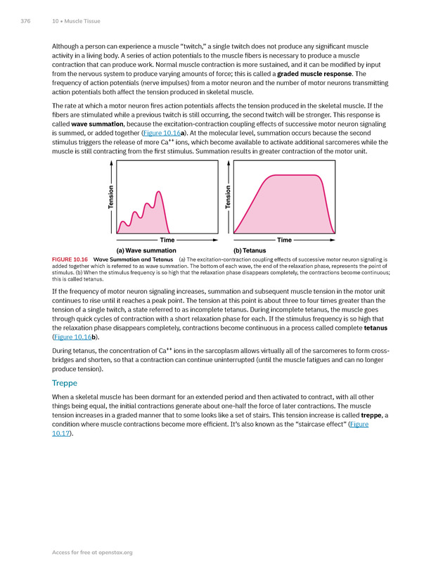 Anatomy and Physiology 2e - New Page