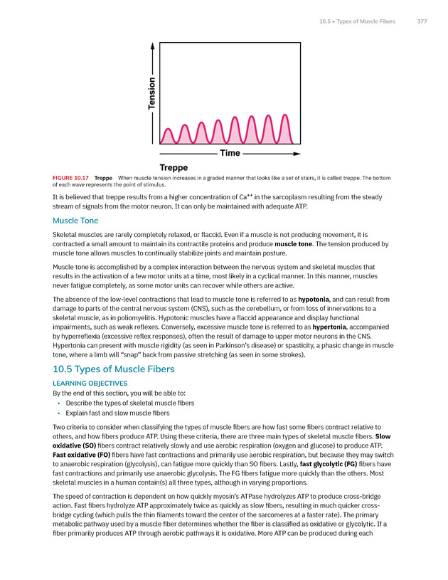 Anatomy and Physiology 2e - New Page