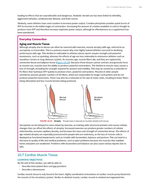 Anatomy and Physiology 2e - New Page