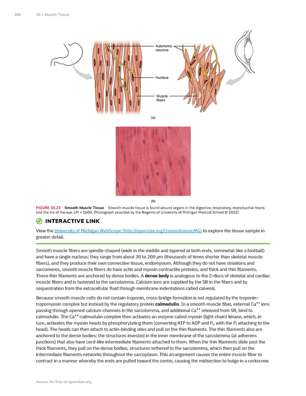 Anatomy and Physiology 2e - New Page