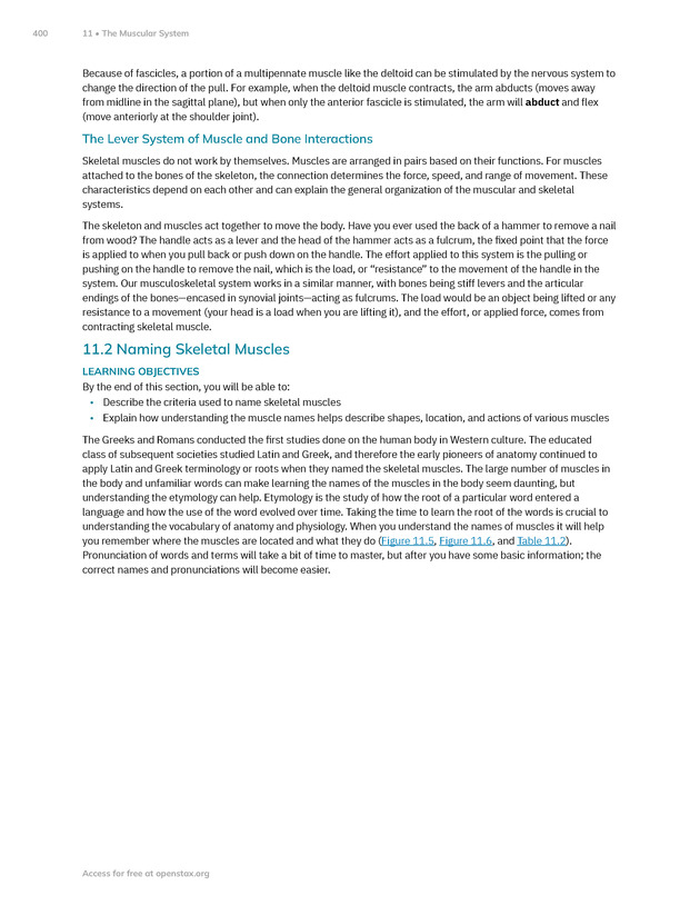 Anatomy and Physiology 2e - New Page