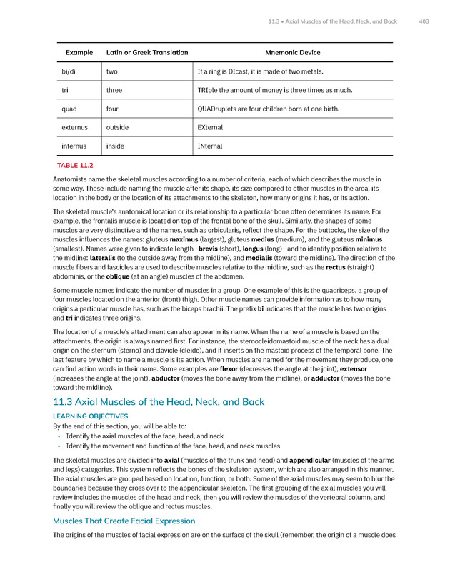 Anatomy and Physiology 2e - New Page