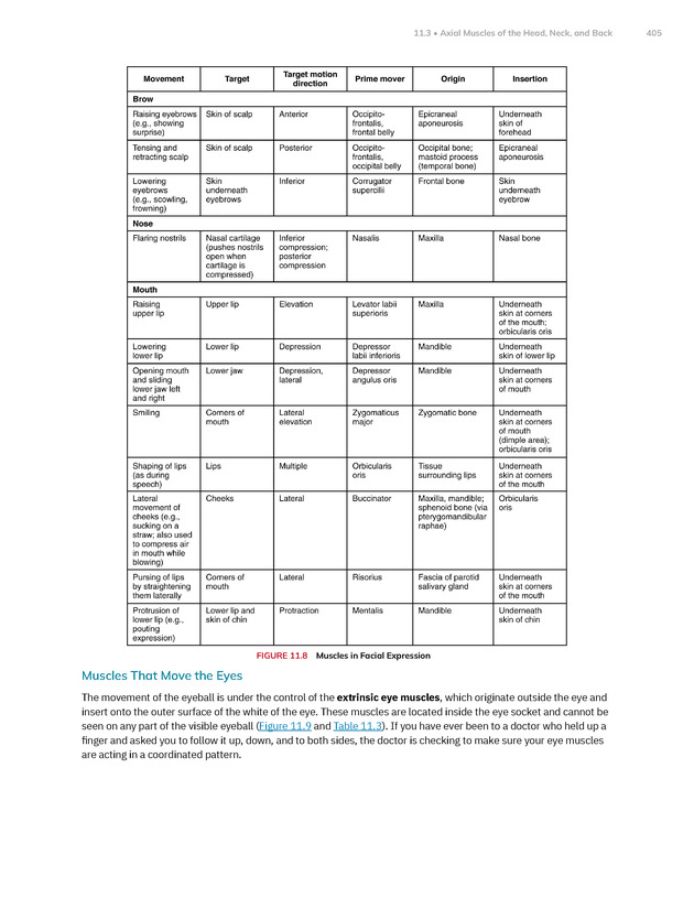 Anatomy and Physiology 2e - New Page