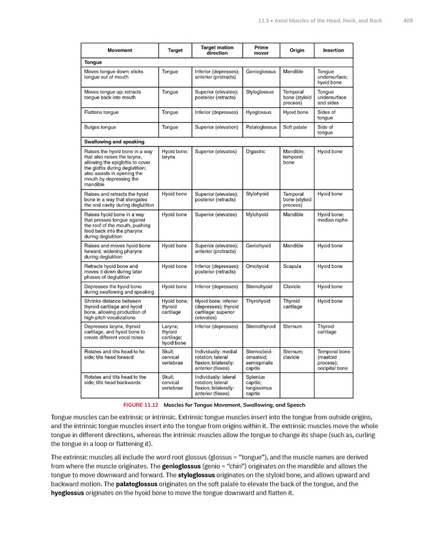 Anatomy and Physiology 2e - New Page
