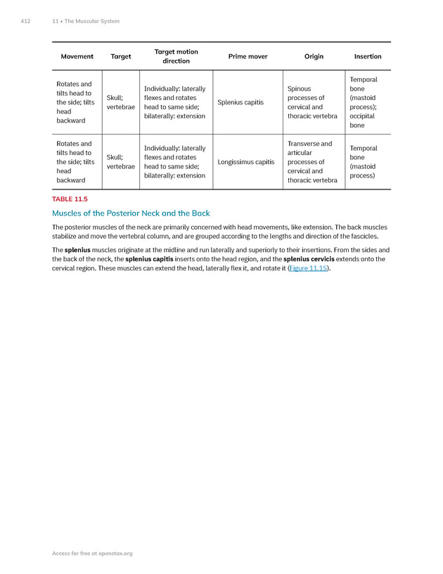 Anatomy and Physiology 2e - New Page
