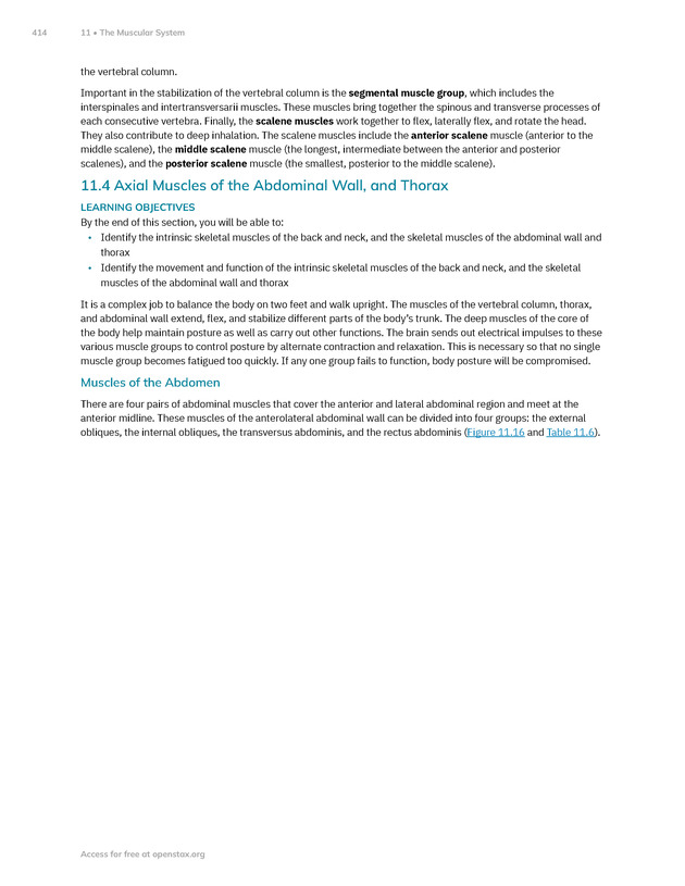 Anatomy and Physiology 2e - New Page