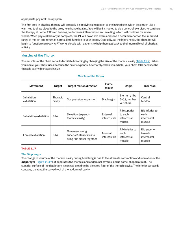 Anatomy and Physiology 2e - New Page