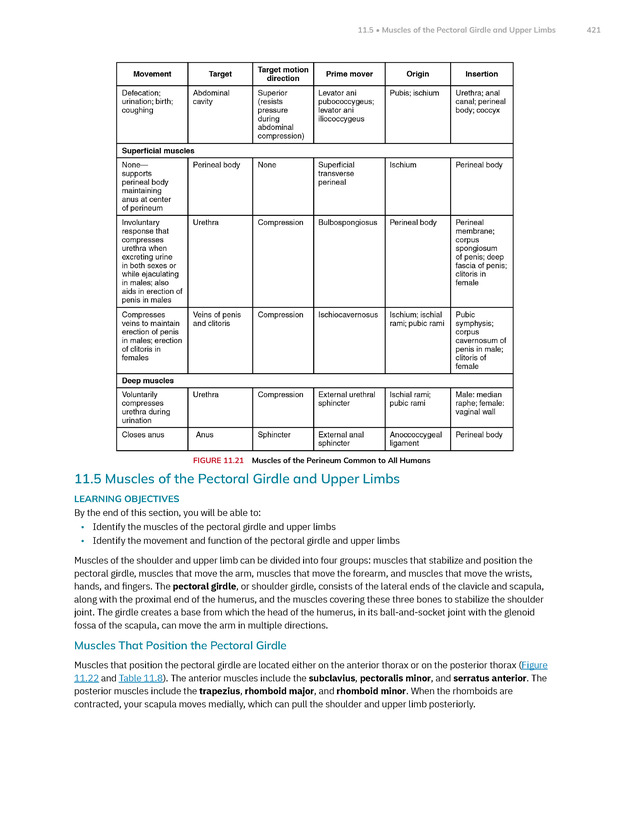 Anatomy and Physiology 2e - New Page