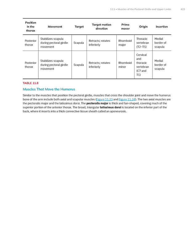 Anatomy and Physiology 2e - New Page