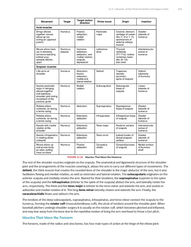 Anatomy and Physiology 2e - New Page