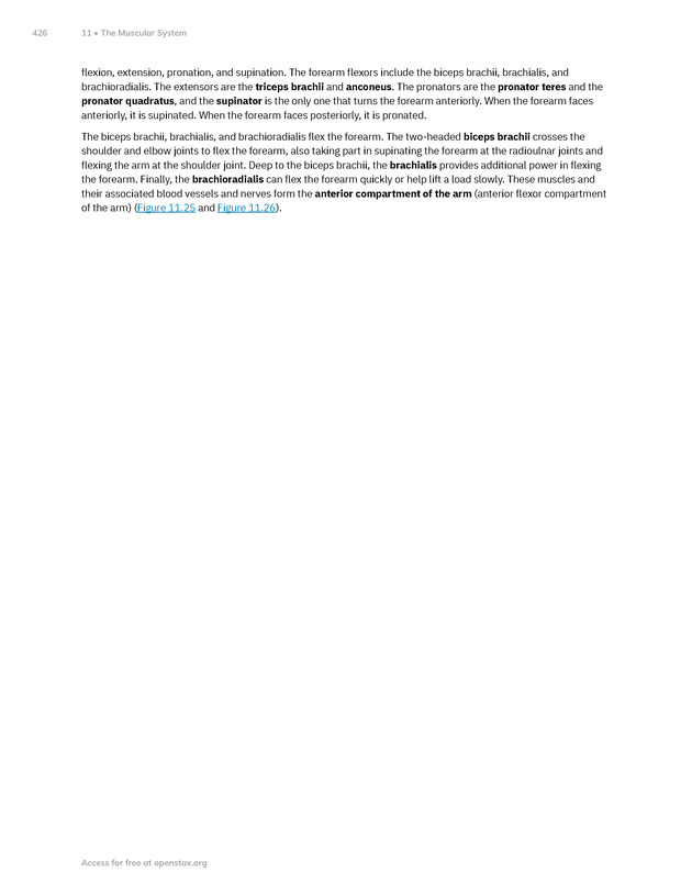 Anatomy and Physiology 2e - New Page
