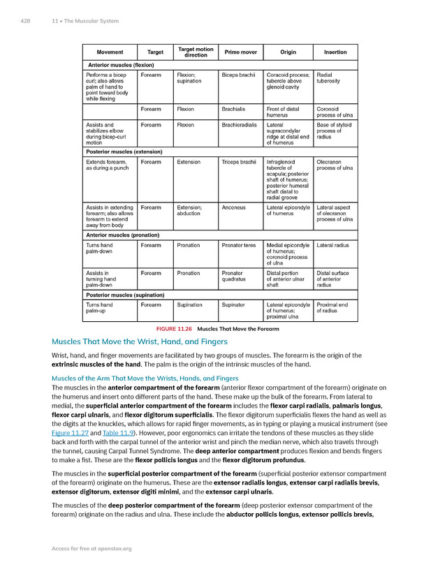 Anatomy and Physiology 2e - New Page