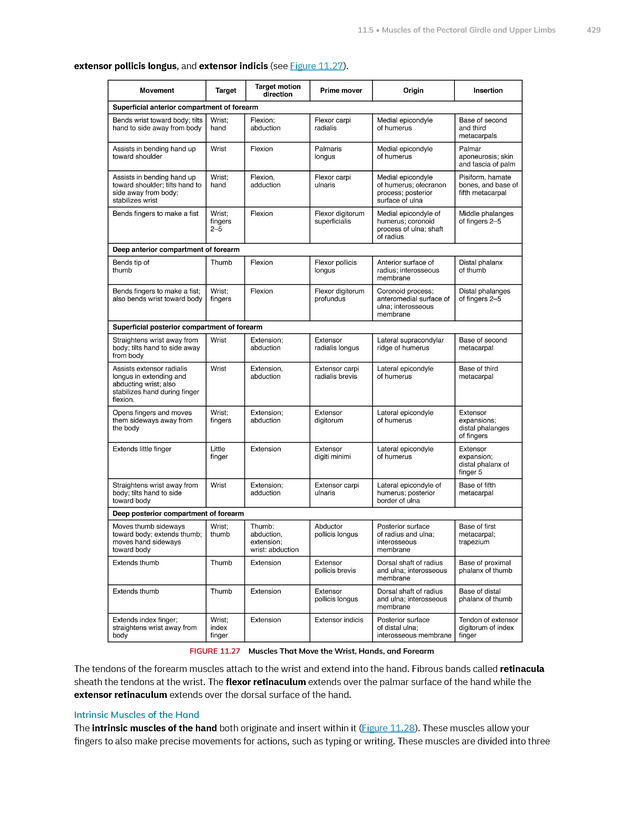 Anatomy and Physiology 2e - New Page