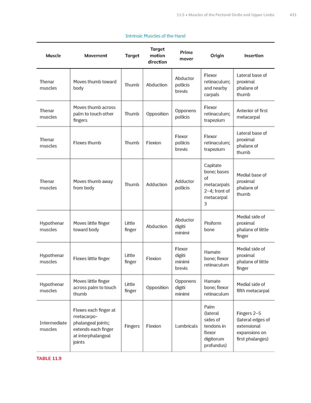 Anatomy and Physiology 2e - New Page