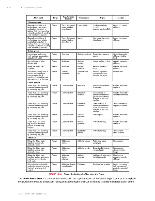 Anatomy and Physiology 2e - New Page