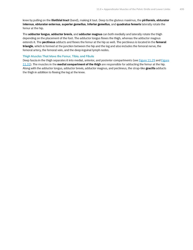 Anatomy and Physiology 2e - New Page