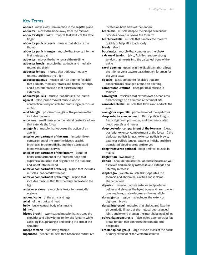 Anatomy and Physiology 2e - New Page