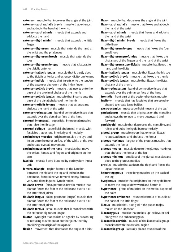Anatomy and Physiology 2e - New Page