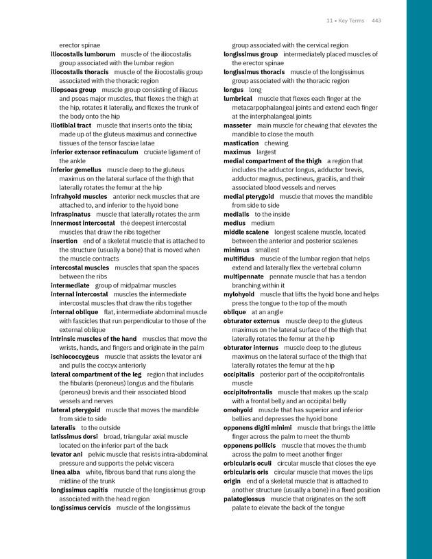 Anatomy and Physiology 2e - New Page