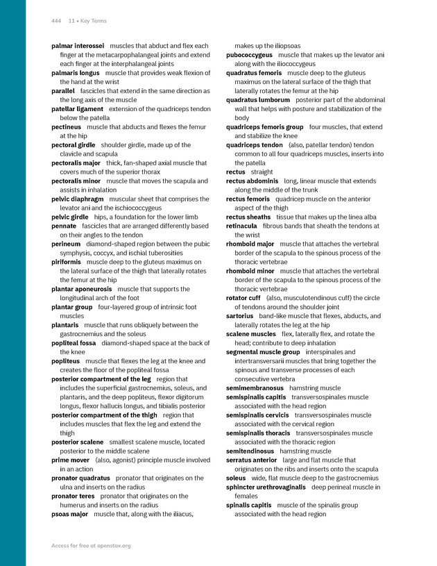 Anatomy and Physiology 2e - New Page