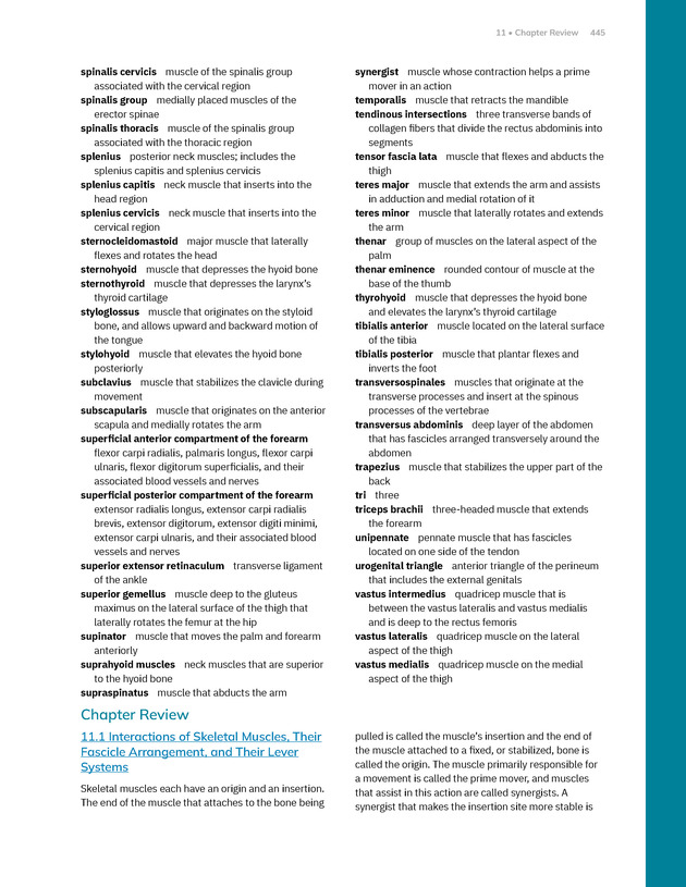 Anatomy and Physiology 2e - New Page
