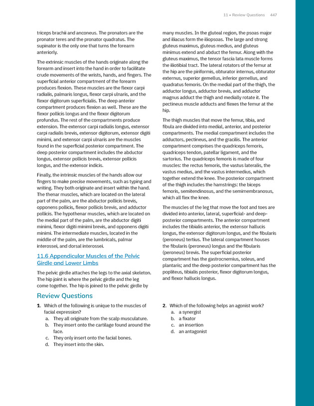 Anatomy and Physiology 2e - New Page