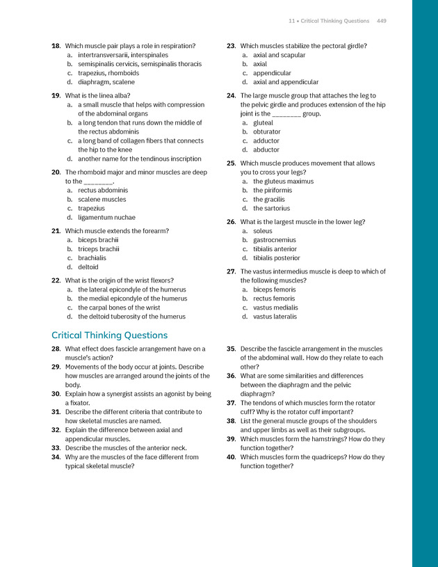 Anatomy and Physiology 2e - New Page