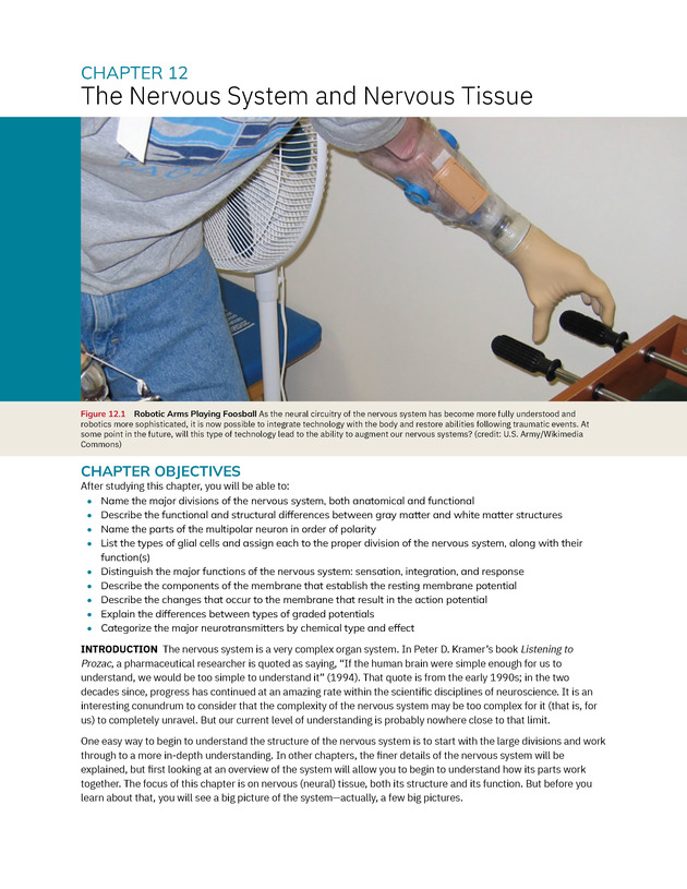 Anatomy and Physiology 2e - New Page