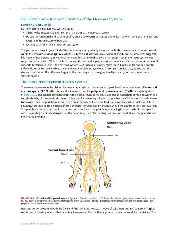 Anatomy and Physiology 2e - New Page