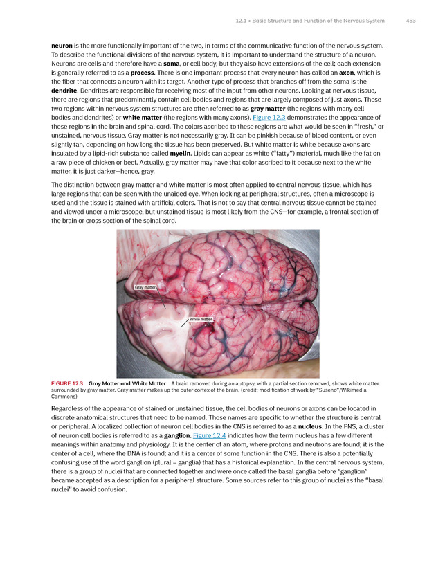 Anatomy and Physiology 2e - New Page