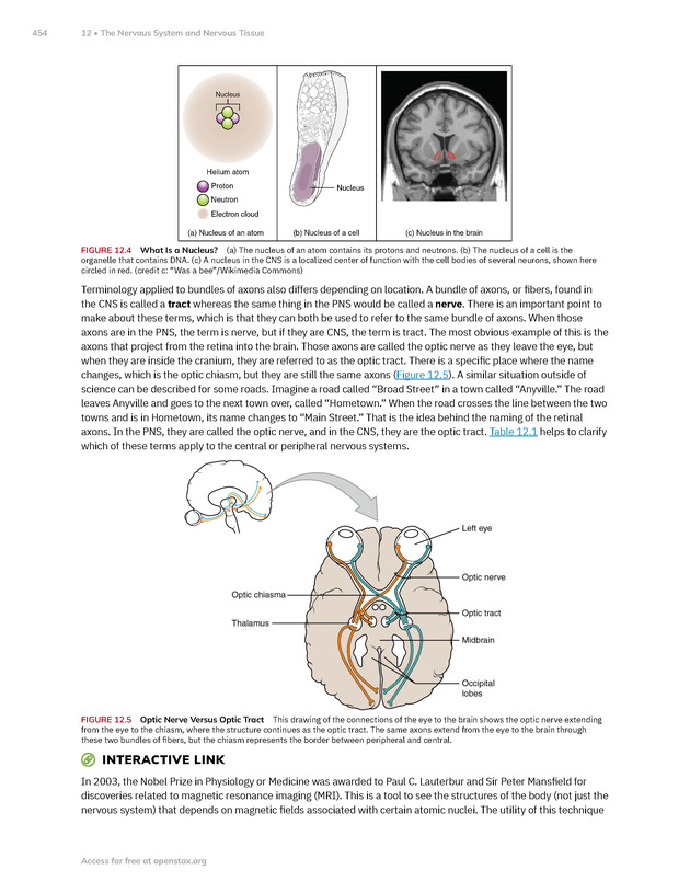 Anatomy and Physiology 2e - New Page
