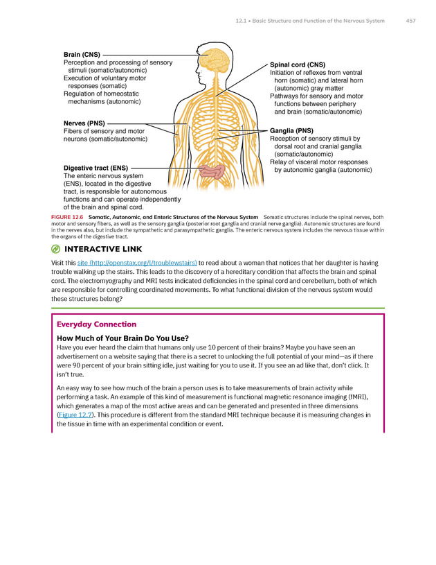 Anatomy and Physiology 2e - New Page