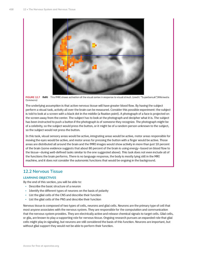 Anatomy and Physiology 2e - New Page