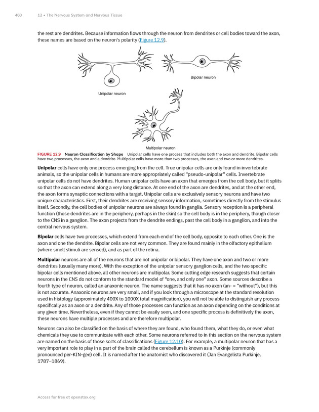 Anatomy and Physiology 2e - New Page