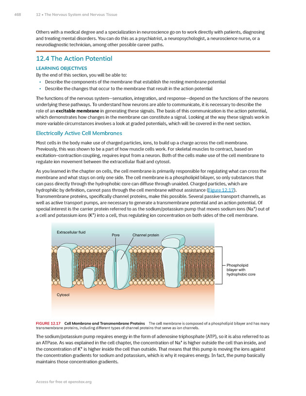 Anatomy and Physiology 2e - New Page