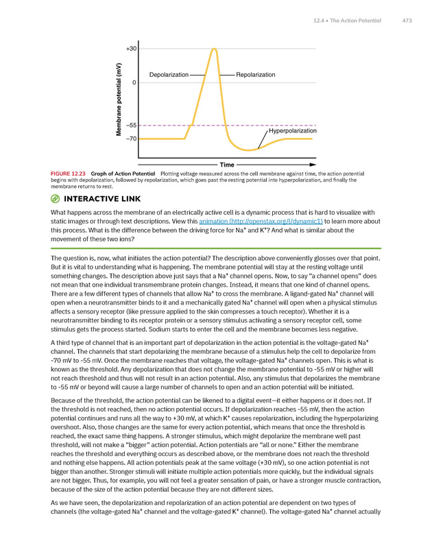 Anatomy and Physiology 2e - New Page