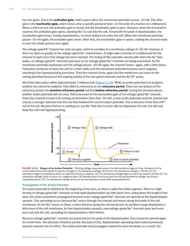 Anatomy and Physiology 2e - New Page