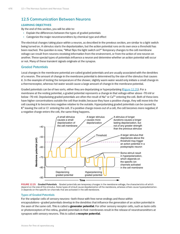 Anatomy and Physiology 2e - New Page