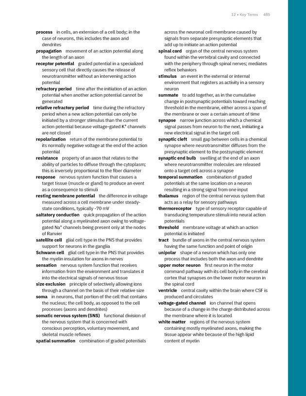 Anatomy and Physiology 2e - New Page